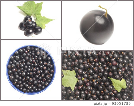 Collage with Black currants top view Collage with Black currants top view 93051789
