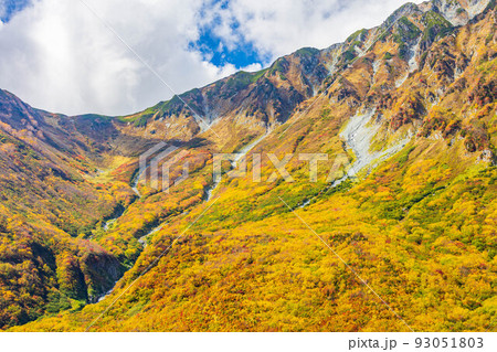 秋の立山黒部アルペンルート 黒部平パノラマテラスからの眺望 秋の立山黒部アルペンルート 黒部平パノラマテラスからの眺望 93051803