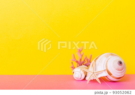 Beach seashells on colored background. Mock up with copy space Beach seashells on colored background. Mock up with copy space 93052062