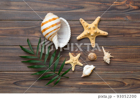 Summer time concept Flat lay composition with beautiful starfish and sea shells on colored table, top view Summer time concept Flat lay composition with beautiful starfish and sea shells on colored table, top view 93052200