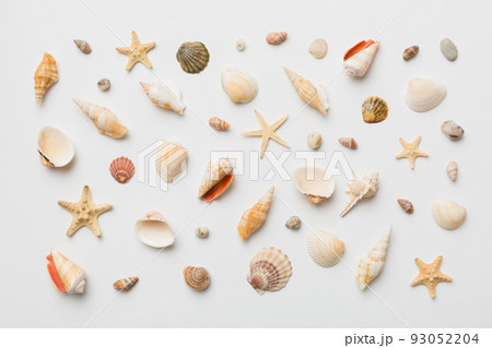 Summer time concept Flat lay composition with beautiful starfish and sea shells on colored table, top view 93052204