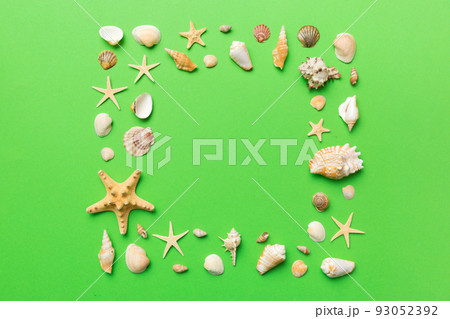 Summer time concept on colored background. Seashells from ocean shore in the shape of frame separated with space for text top view 93052392