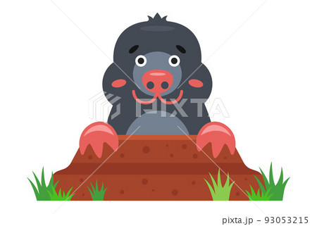 a mole peeks out of a hole in the garden. a mole peeks out of a hole in the garden. 93053215