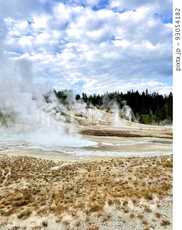 ノリス・ガイザー・ベイスン　Norris Geyser Basin　イエローストーン国立公園 93054182