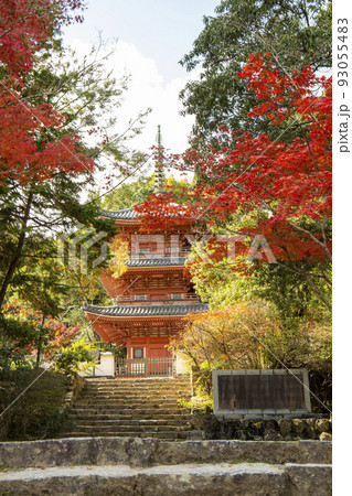 秋の紅葉と三重塔 93055483