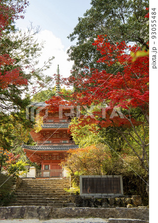 秋の宝福寺 秋の宝福寺 93055484
