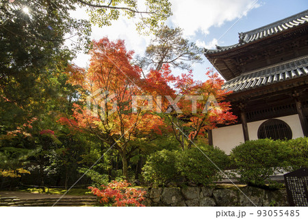 宝福寺 宝福寺 93055485