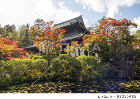 秋の紅葉 秋の紅葉 93055488