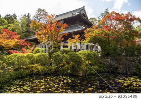 宝福寺 宝福寺 93055489