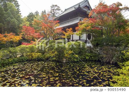 秋の宝福寺 秋の宝福寺 93055490