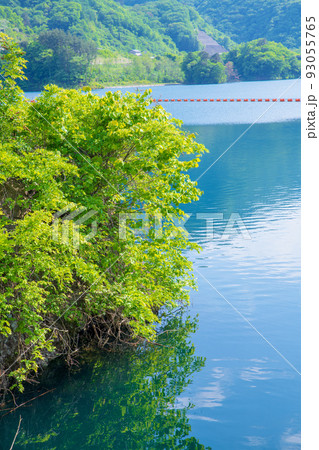 八ッ場あがつま湖 八ッ場ダム 初夏の風景 八ッ場あがつま湖 八ッ場ダム 初夏の風景 93055765