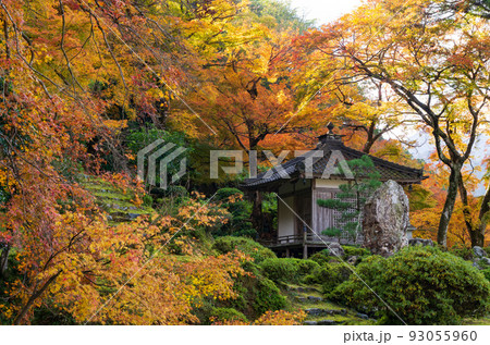 若狭小浜 萬徳寺の秋 若狭小浜 萬徳寺の秋 93055960