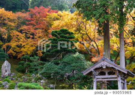 若狭小浜 萬徳寺の秋 若狭小浜 萬徳寺の秋 93055965