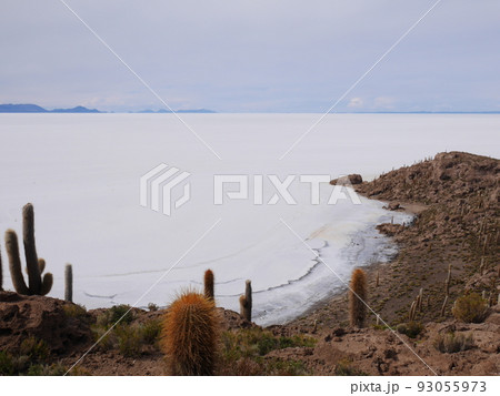 ウユニ塩湖のインカ・ワシ島㉘ 93055973