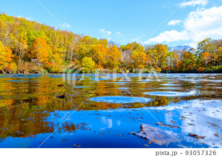 仙人池の紅葉（笹ヶ峰高原） 93057326