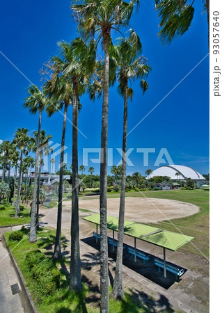 ひなた宮崎県総合運動公園 R4夏 ひなた宮崎県総合運動公園 R4夏 93057640