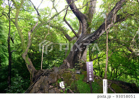 蛾眉山 文殊仙寺 93058051