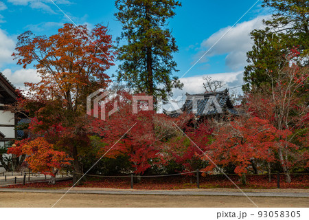 画聖雪舟ゆかりの禅寺 #宝福寺 #井山宝福寺  画聖雪舟ゆかりの禅寺 #宝福寺 #井山宝福寺  93058305