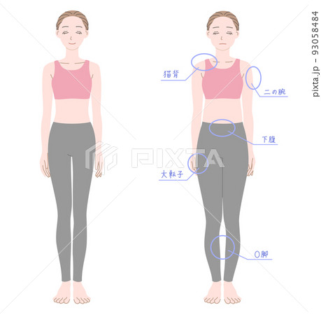体型の異なる2人の女性の全身イラストセット 体型の異なる2人の女性の全身イラストセット 93058484