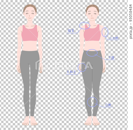 体型の異なる2人の女性の全身イラストセット 体型の異なる2人の女性の全身イラストセット 93058484