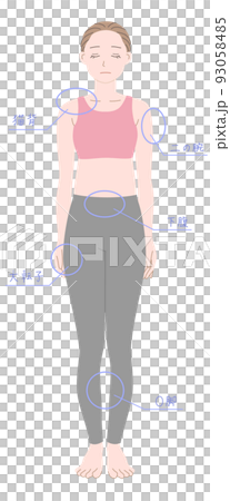 豐滿的女人全身插圖素材 豐滿的女人全身插圖素材 93058485