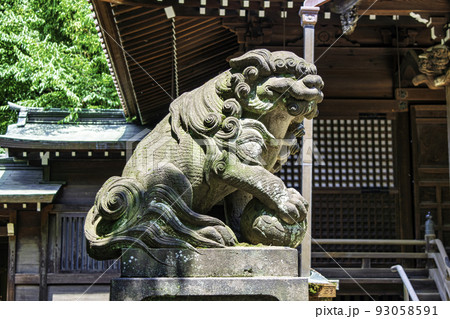 東京都 代々木八幡宮 拝殿の狛犬 東京都 代々木八幡宮 拝殿の狛犬 93058591