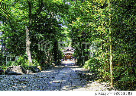 東京都　代々木八幡宮　参道 93058592