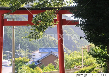 夏と鳥居 93059414
