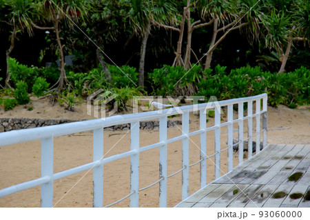 石垣島　フサキビーチ　で羽を休めるエリグロアジサシ 93060000