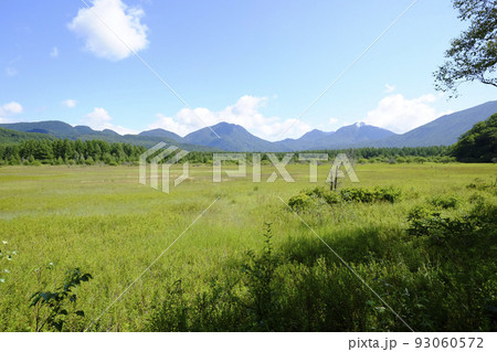 奥日光　小田代ヶ原（9月初旬） 93060572