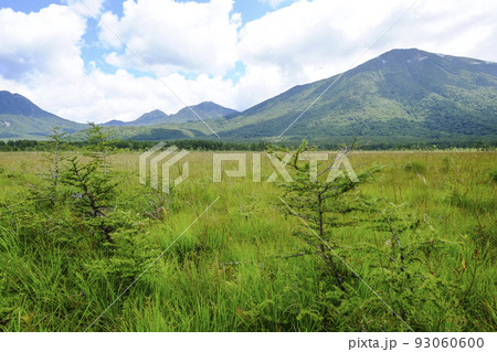 奥日光　戦場ヶ原（9月初旬） 93060600