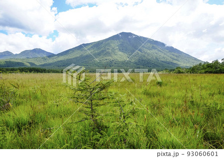 奥日光　戦場ヶ原と男体山（9月初旬） 93060601