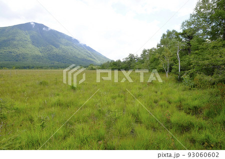 奥日光　戦場ヶ原（9月初旬） 93060602