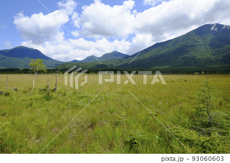 奥日光　戦場ヶ原（9月初旬） 93060603