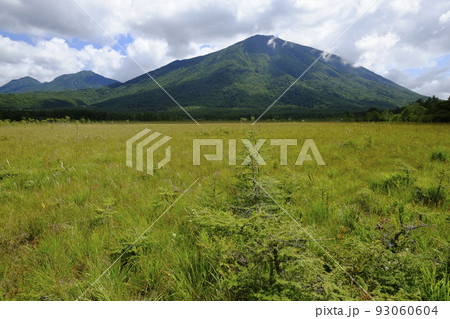 奥日光 戦場ヶ原と男体山(9月初旬) 奥日光 戦場ヶ原と男体山(9月初旬) 93060604