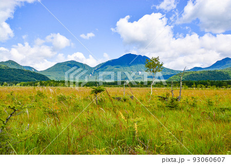奥日光　戦場ヶ原より山王帽子山と太郎山を望む（9月初旬） 93060607