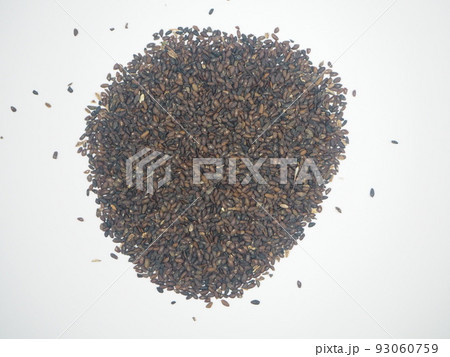 生薬 車前子 シャゼンシ 生薬 車前子 シャゼンシ 93060759