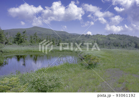 穏やかな東北の夏山 田代平と乳頭山 穏やかな東北の夏山 田代平と乳頭山 93061192