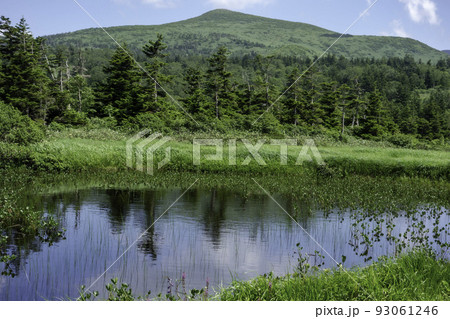 田代平の池塘と乳頭山 93061246