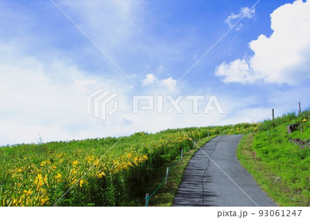 夏山の空 93061247