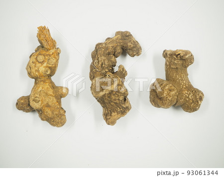 生薬　白朮　ビャクジュツ 93061344