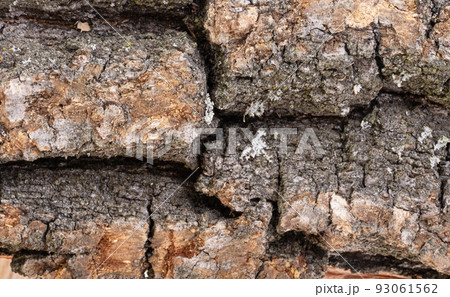 background of chopped oak firewood background of chopped oak firewood 93061562