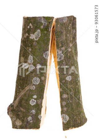 chopped oak firewood isolated chopped oak firewood isolated 93061573