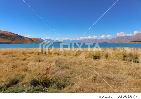【テカポ】テカポ湖　晴れ 93061677