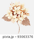 Watercolor autumn hydrangea flower 93063376
