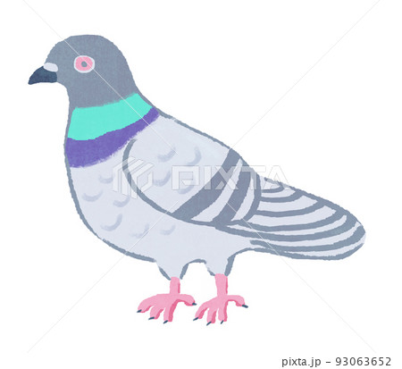 How to Draw a Pigeon Step by Step | Drawings, Drawing tutorial, Step by  step drawing