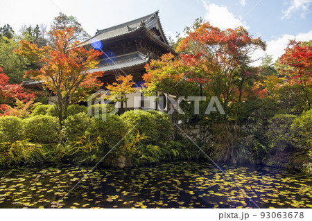 紅に染まる楓 紅に染まる楓 93063678