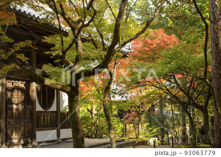 秋の宝福寺 93063779