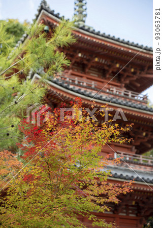 紅葉と三重塔 紅葉と三重塔 93063781