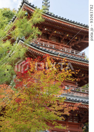 三重塔と楓 三重塔と楓 93063782